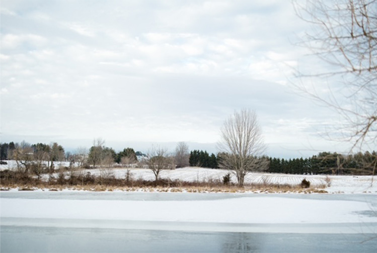 Sydney Rae Photography | Wedding Vendor at Sundance Events