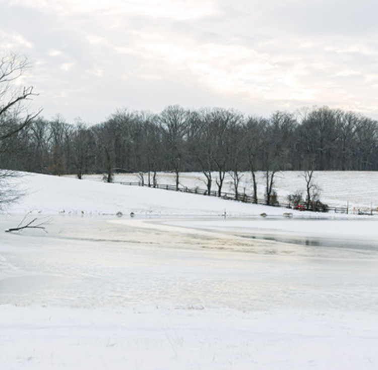 Sydney Rae Photography | Wedding Vendor at Sundance Events